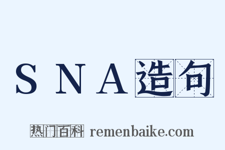 SNA造句是什么意思的图片